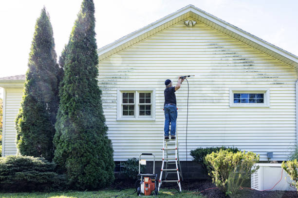 Professional Pressure washing in Woodstock, AL